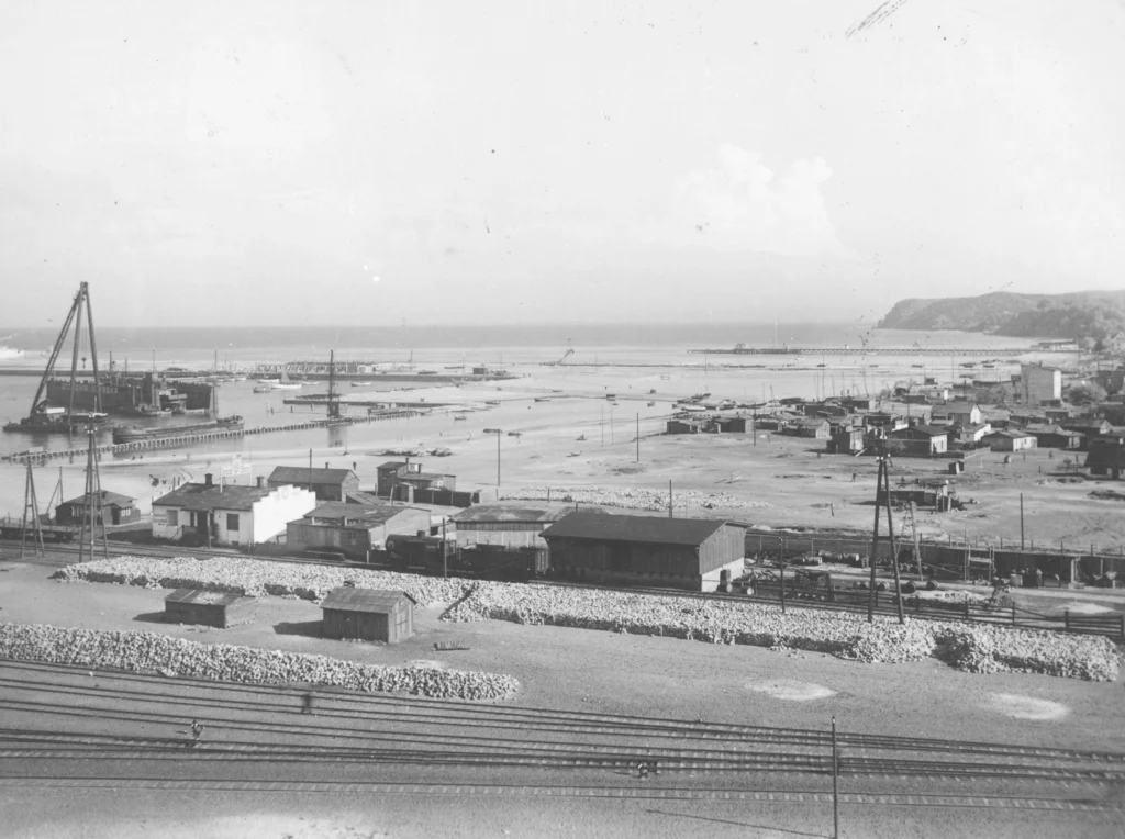 W tekście omawiane są koszty, ryzyka i polityczne opory wobec wielkich projektów infrastrukturalnych oraz argumenty, że tylko odważne, długoterminowe decyzje wizjonerów i wspierających ich polityków mogą przekształcić krajową pozycję strategiczną. Na przykładzie budowy portu w Gdyni pokazano, jak krytykowane inwestycje szybko przeobraziły się w motor wzrostu gospodarczego i kluczowy kanał eksportowy Polski.